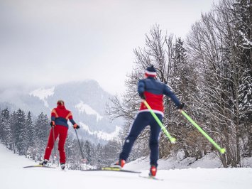 Winterurlaub in Bayern im BERGEBLICK Zwei Skilangläufer fahren im verschneiten Wald mit Bergen im Hintergrund