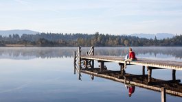 Your active summer holiday in Bavaria Person sitting on a pier by a calm lake with mist and forest in the background
