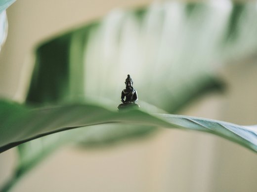Wellness in Bad Tölz Small Buddha statue on large green leaf with blurred background