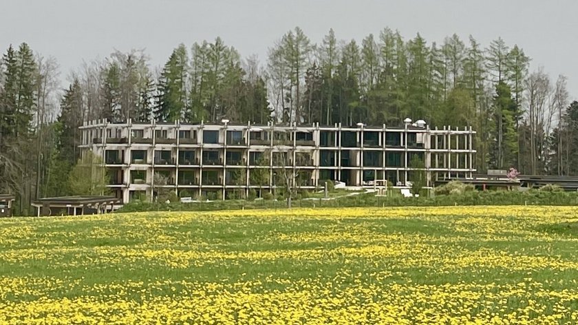 Frühlingserwachen am BERGEBLICK Blühende gelbe Blumenwiese vor einem modernen Gebäude und Wald