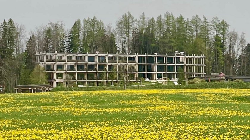 Frühlingserwachen am BERGEBLICK Blühende gelbe Blumenwiese vor einem modernen Gebäude und Wald
