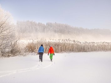 Winterurlaub in Bayern im BERGEBLICK Zwei Personen wandern im Schnee vor Schilf und verschneiten Bäumen