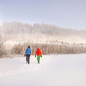 Urlaub in der Natur Bayerns Zwei Personen wandern im Schnee vor Schilf und verschneiten Bäumen