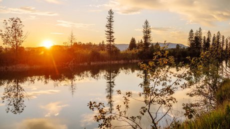 Pictures of a dream holiday in Bad Tölz Sunset over calm lake with trees and bushes along the shore
