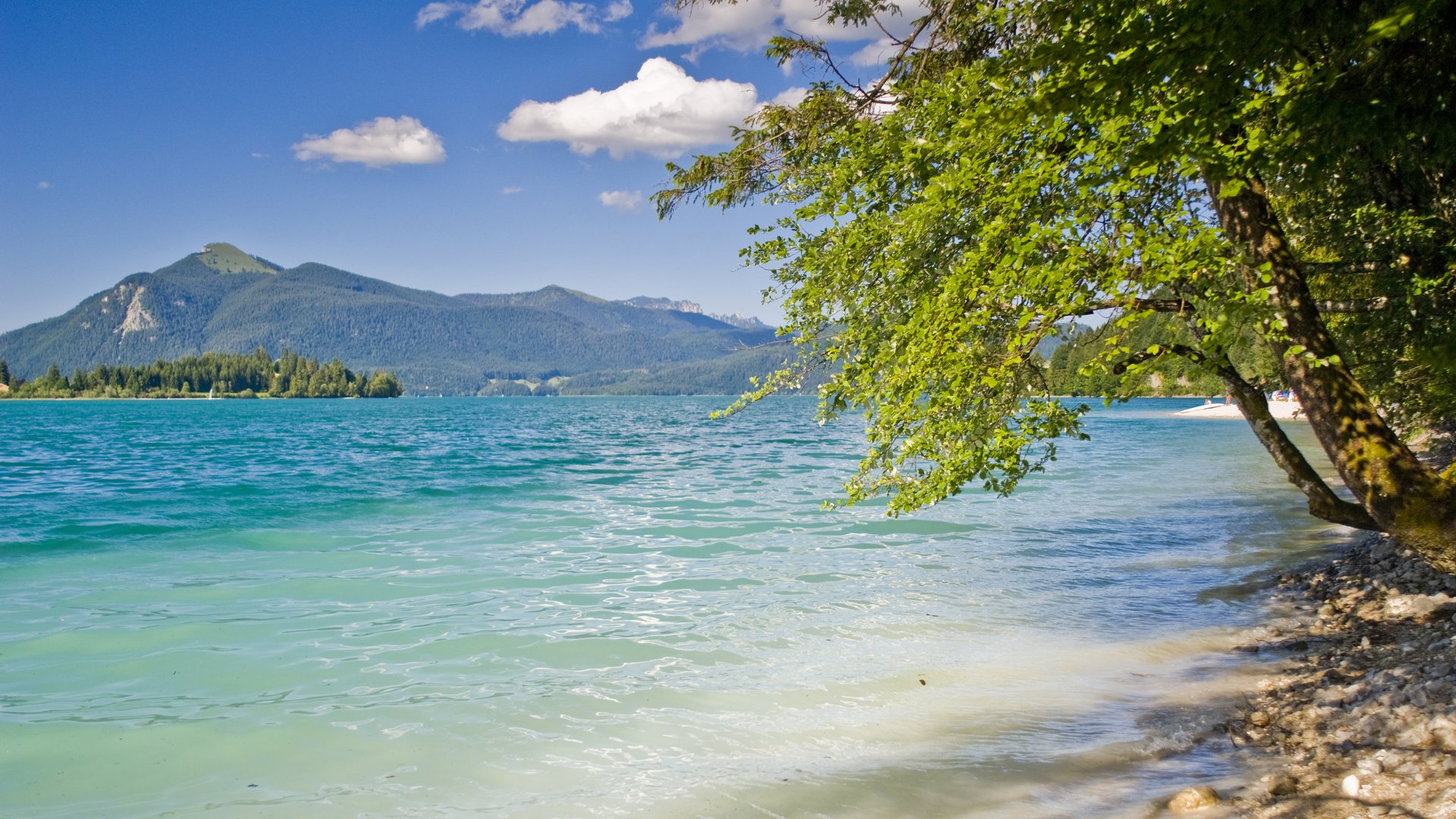 Dein Aktivurlaub in Bayern in Bad Tölz Klarer See mit grünem Ufer und Bergen unter blauem Himmel