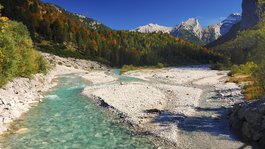 Urlaub in der Natur Bayerns Klare Bergfluss mit buntem Herbstwald und schneebedeckten Bergen im Hintergrund