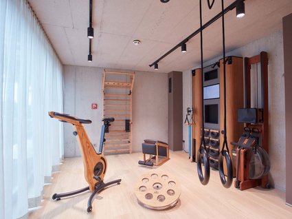 A holiday amidst nature in Germany Modern workout room with wooden fitness equipment and gymnastic rings