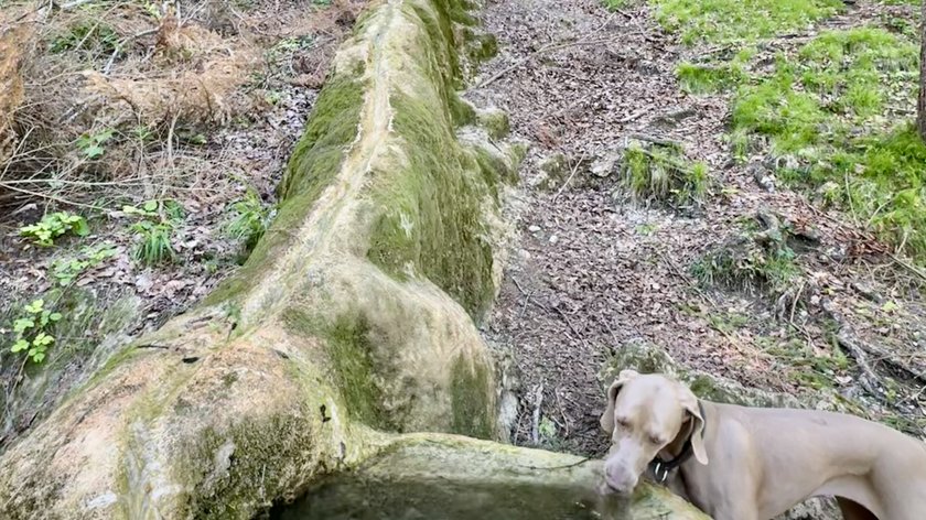 Es ist ein Naturschauspiel, welches man selten findet. Es ist ein Naturschauspiel, welches man selten findet.