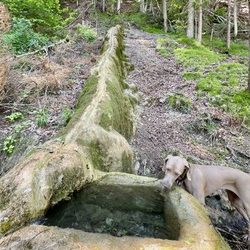 Es ist ein Naturschauspiel, welches man selten findet. Es ist ein Naturschauspiel, welches man selten findet.