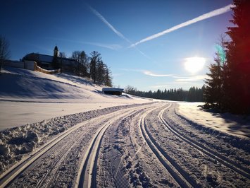 Urlaub im Aktivhotel in Bayern Sonnenbeschienene Langlaufloipe in verschneiter Winterlandschaft