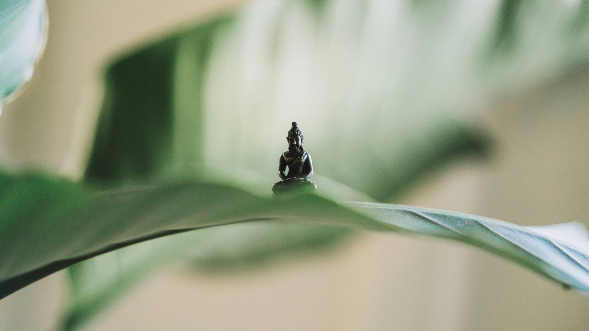 Your yoga hotel in Bavaria: BERGEBLICK
