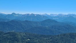 Urlaub im Aktivhotel in Bayern Grüne Wiesen und Nadelbäume vor blauen Bergen unter klarem Himmel