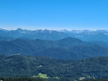 Urlaub im Aktivhotel in Bayern Grüne Wiesen und Nadelbäume vor blauen Bergen unter klarem Himmel