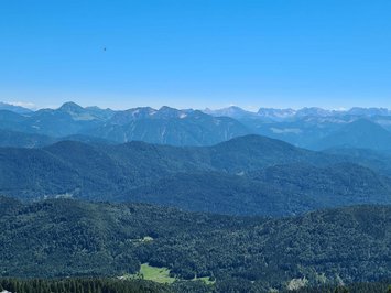 Urlaub im Aktivhotel in Bayern Grüne Wiesen und Nadelbäume vor blauen Bergen unter klarem Himmel