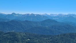Urlaub in der Natur Bayerns Grüne Wiesen und Nadelbäume vor blauen Bergen unter klarem Himmel