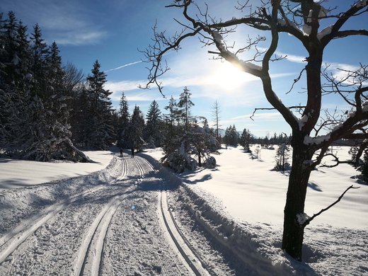 Winterurlaub in Bayern im BERGEBLICK Winterlandschaft mit verschneiter Loipe und zwei Skifahrern bei Sonnenschein