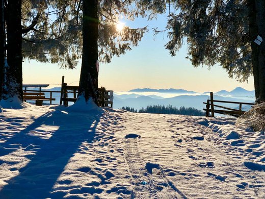 Dein Wellnesshotel in Bad Tölz: BERGEBLICK Schneebedeckter Waldweg mit Bäumen und Bergpanorama im Sonnenlicht