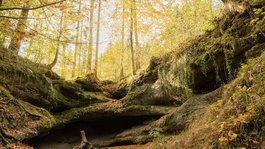 Urlaub in der Natur Bayerns Felsenhöhle im herbstlichen Wald mit gelben Blättern und moosbedeckten Steinen