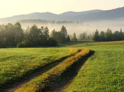 Hotel mit E-Bike-Verleih in Bayern: BERGEBLICK Feldweg durch grüne Wiesen mit Nebel und Bergen im Hintergrund
