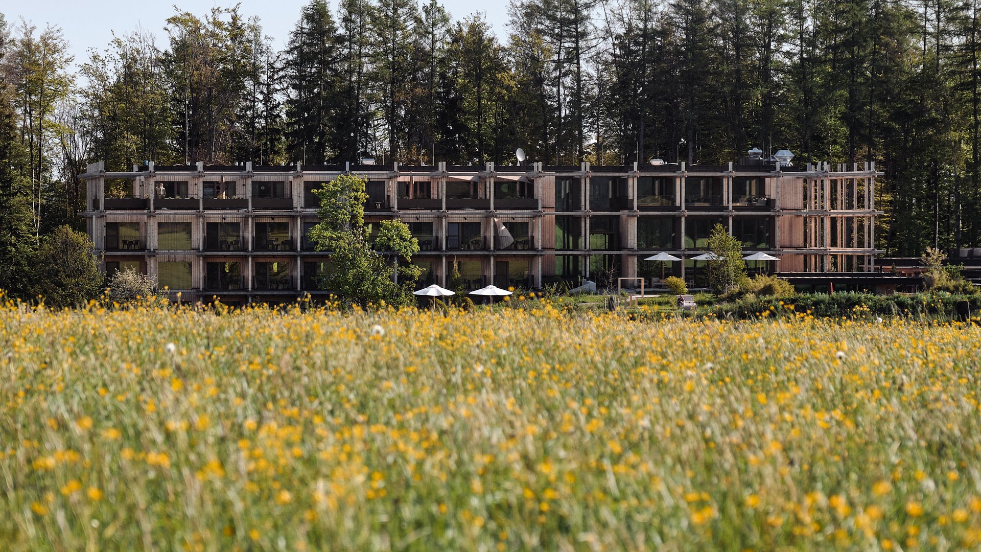 Hotel BERGEBLICK für Wellness in Bad Tölz Modernes Gebäude vor einem Wald mit einer Wiese voller gelber Blumen im Vordergrund