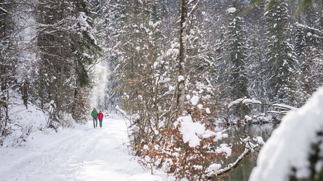 Pictures of a dream holiday in Bad Tölz Two people walking on snowy forest path beside river