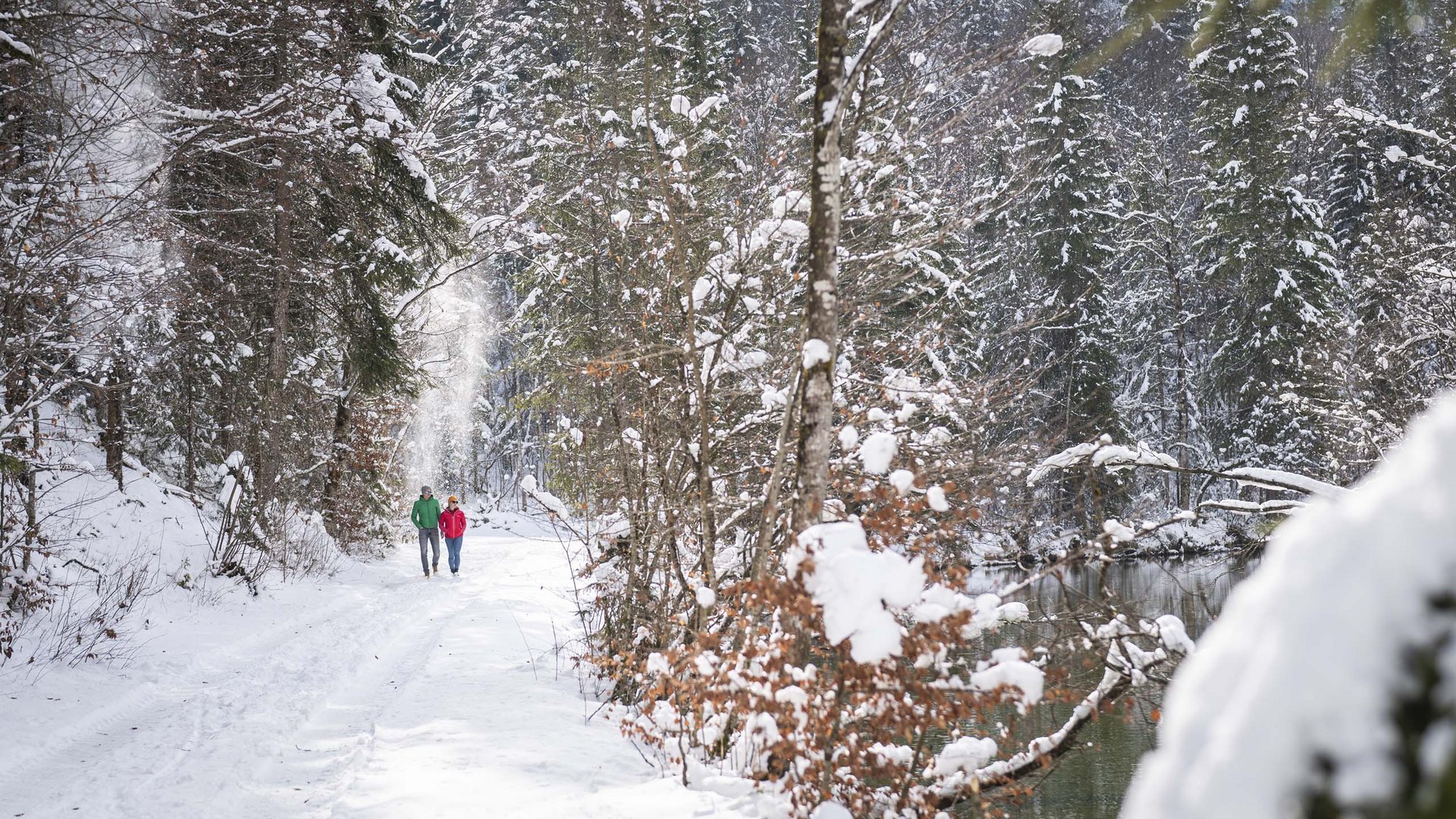 Zwei Personen spazieren auf verschneitem Waldweg neben Fluss