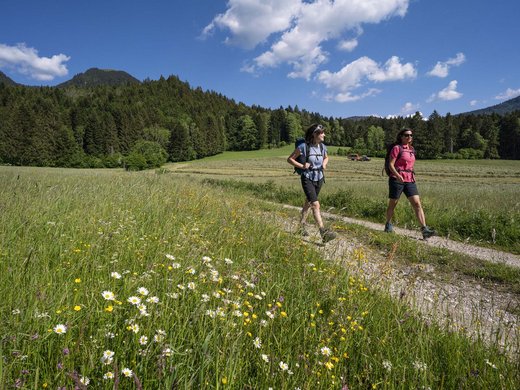 Dein Aktivurlaub in Bayern in Bad Tölz Zwei Frauen wandern auf Wanderweg durch blühende Wiese vor Wald und Bergen